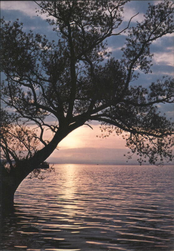 Evening Glow on Lake Champlain Burlington Vermont Alois Mayer