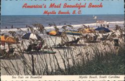 Sea Oats on Myrtle Beach with Lifeguard Stand Postcard
