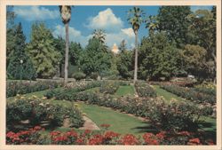 Capitol Park Rose Garden and State Capitol Dome Postcard