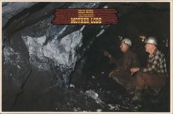 Miners Examining Gold-Bearing Quartz, Hidden Treasure Mine Postcard