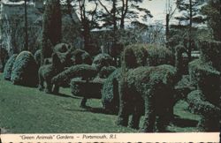 "Green Animals" Topiary Gardens, Alice Brayton Estate Postcard