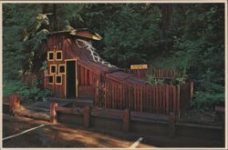 The Redwood Shoe Playhouse at Confusion Hill Postcard