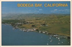 Aerial View of Harbor and Scenic Rolling Hills Postcard