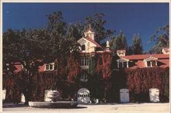Inglenook Winery with Autumn Virginia Creeper Postcard