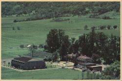 Inglenook Estate Historic Stone Chateau and Vineyards Postcard