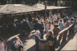Northspur Beer Garden on the Skunk Train Line Postcard