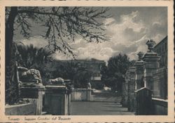 Ingresso Giardini del Peripato Postcard