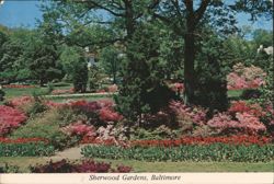 Sherwood Gardens with Tulips and Azaleas Postcard