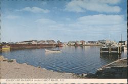 Cheticamp Harbour on the Cabot Trail Postcard