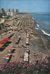 Panorama of the Beach with Colorful Sunshades Postcard