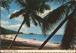 Typical Beautiful Beach, New Providence Postcard