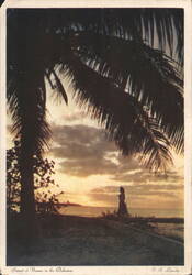 Sunset at Nassau with Silhouette of Palm Tree Postcard
