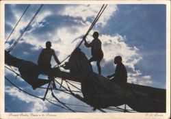 Bowsprit Revelry, Nassau Waterfront Postcard