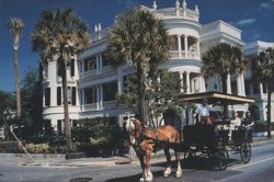Horse-Drawn Carriage Tour at East Battery Postcard