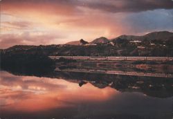 Amtrak Coast Starlight at Santa Barbara Bird Refuge Postcard