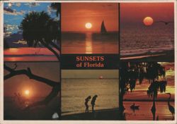Sunsets of Florida Multi-View Scenic Scenes Postcard