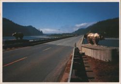 Golden Bear Bridge Spanning the Klamath River Postcard