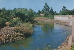 Place of Christ's Baptism in the Jordan River Postcard