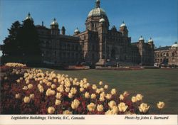 British Columbia Legislative Buildings and Spring Tulips Postcard