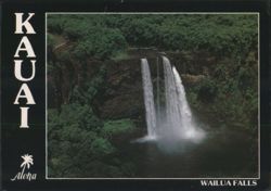Wailua Falls Twin Waterfalls and Tropical Foliage Postcard