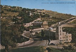 Basilica and Gardens of Gethsemane, Old City Postcard