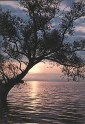 Evening Glow on Lake Champlain Postcard