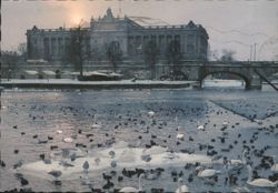 Riksdagshuset House of Parliament and Birds in Winter Postcard