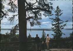 View from Loftstugan, Kolmården Wildlife Park Postcard