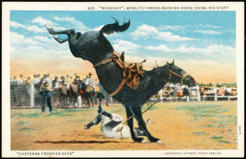 Midnight, World's Famous Bucking Horse Doing His Stuff, Cheyenne Frontier Days