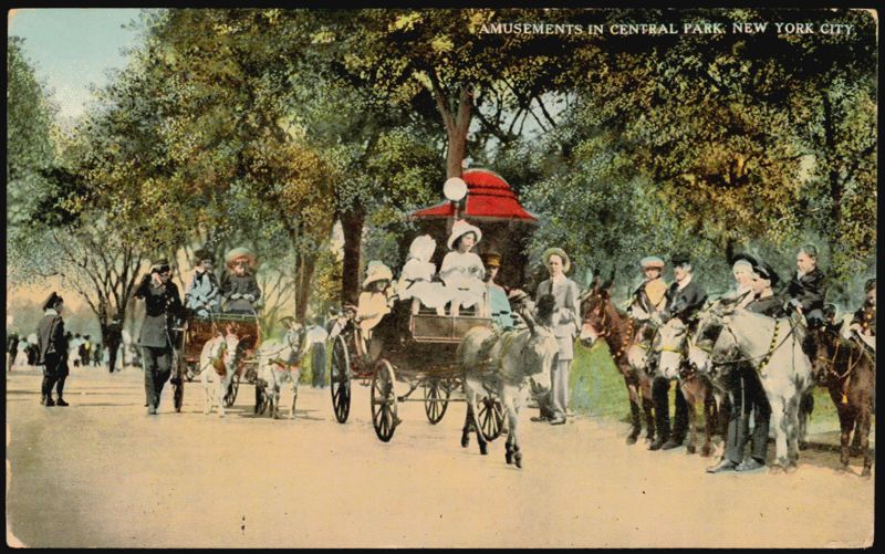 Amusements in Central Park, Donkey and Goat Carriages New York