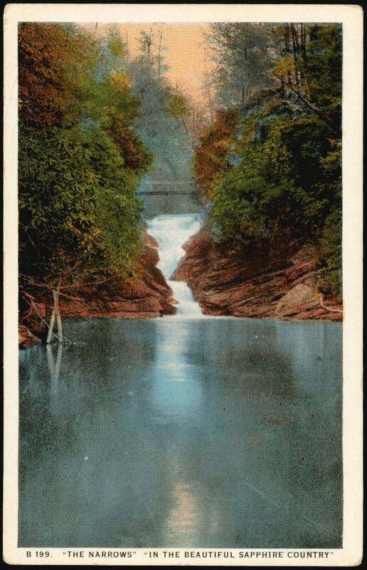 The Narrows in the Beautiful Sapphire Country Trees