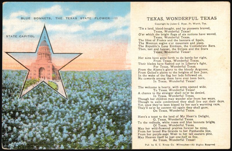 Texas Bluebonnets, State Capitol, Wonderful Texas Poem