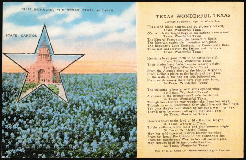 Blue Bonnets, Texas State Flower, State Capitol