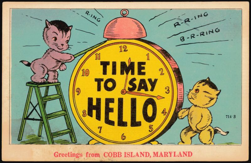 Cats with Alarm Clock, Time to Say Hello Cobb Island Maryland