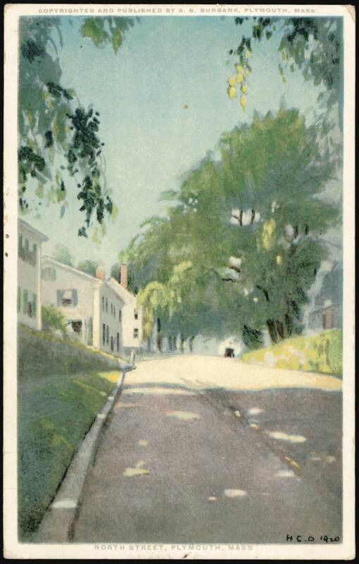 North Street, Tree-lined Road, Plymouth, MA Massachusetts