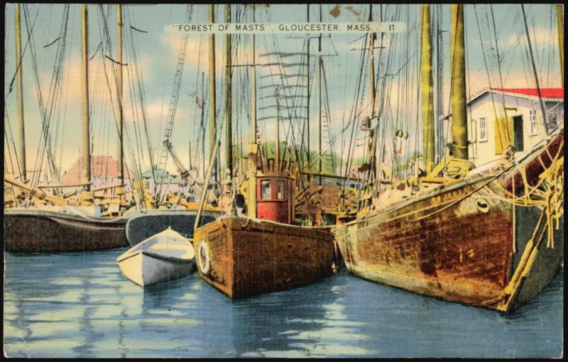 Forest of Masts, Gloucester Harbor, Fishing Vessels Massachusetts