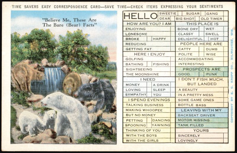 Believe Me, These Are The Bare (Bear) Facts Time Savers Card