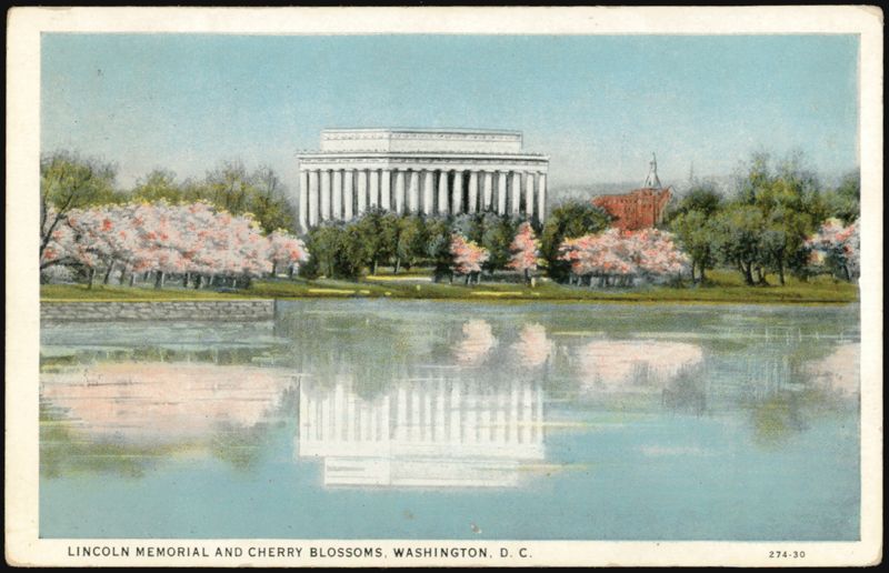 Lincoln Memorial & Cherry Blossoms, Washington D.C. District of Columbia