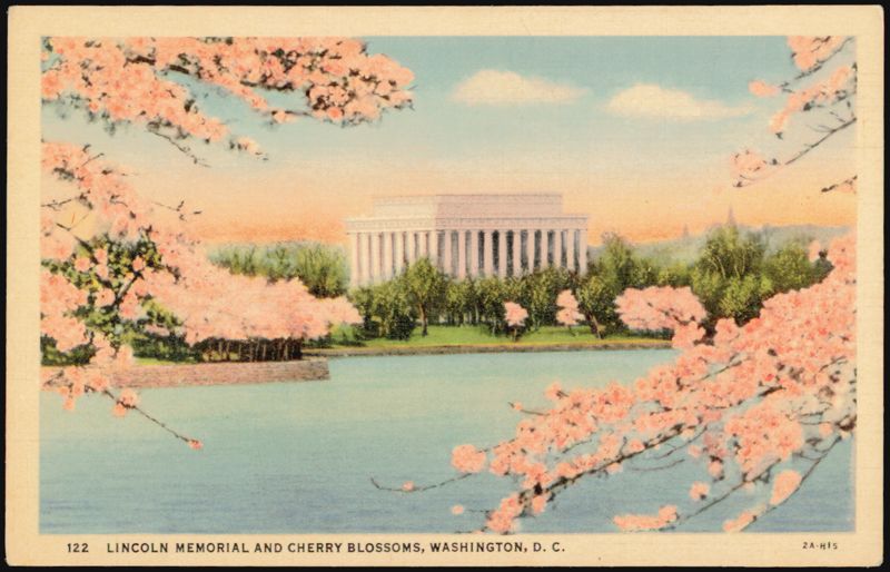 Lincoln Memorial and Cherry Blossoms Washington District of Columbia