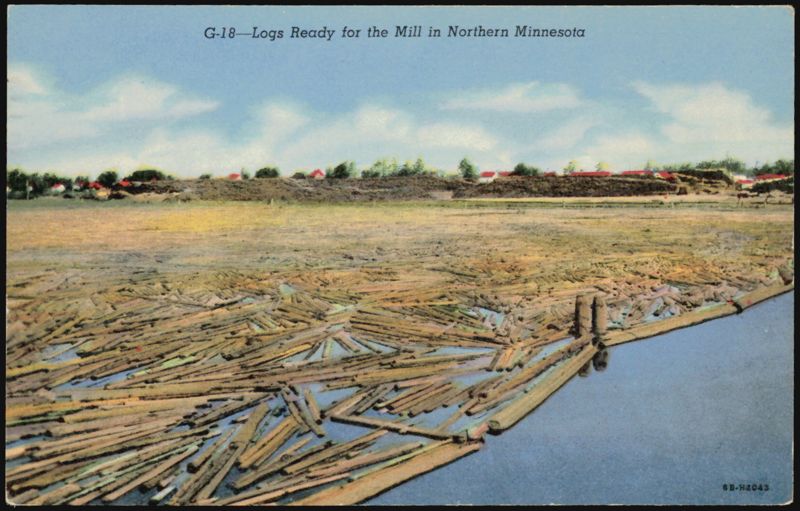 Logs Ready for the Mill, Northern Minnesota