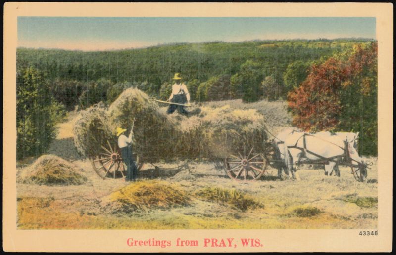 Hay Harvest with Horse-Drawn Wagon, Pray, WI Wisconsin