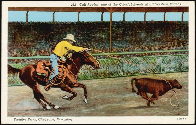 Calf Roping, Frontier Days Rodeo, Cheyenne, Wyoming