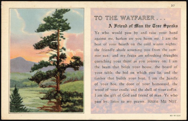 To the Wayfarer, A Friend of Man the Tree Speaks Trees