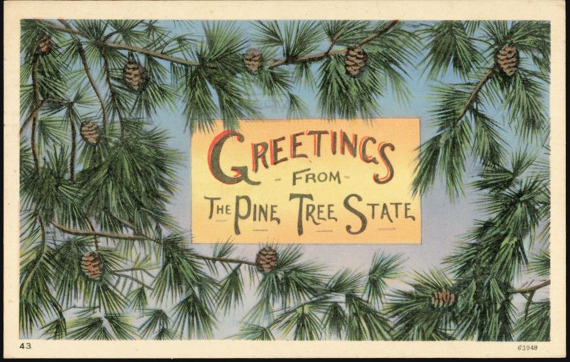 Greetings from The Pine Tree State Pine Cones Trees