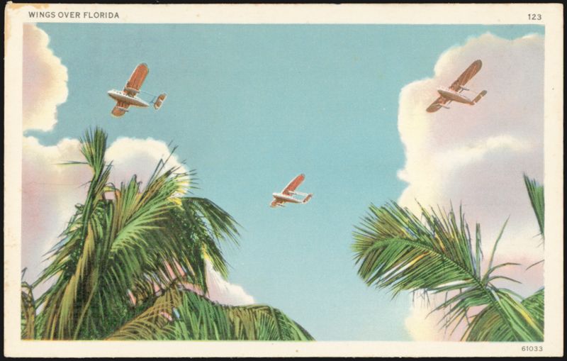 Wings Over Florida, Seaplanes and Palm Trees