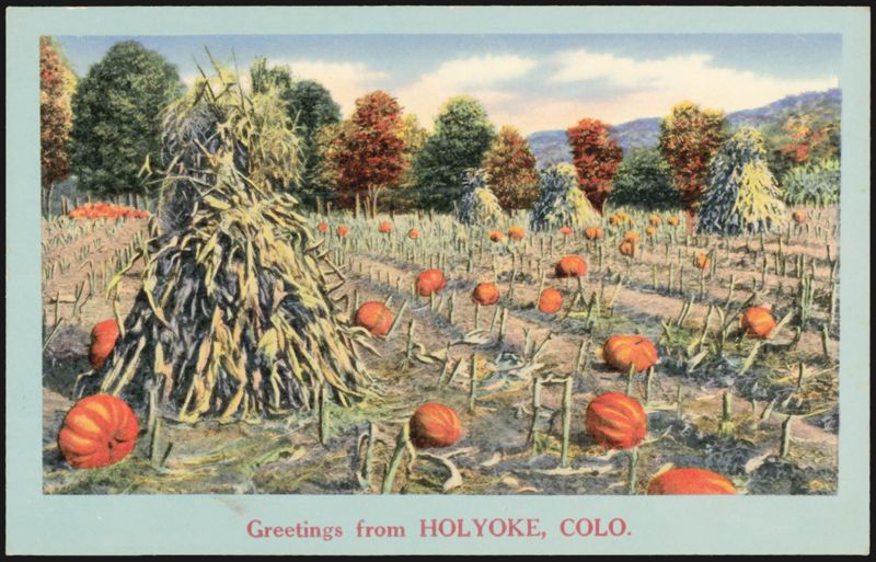 Pumpkin Field & Corn Shocks, Holyoke, CO Colorado