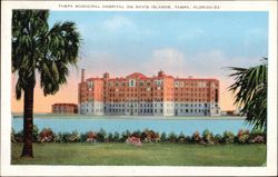 Tampa Municipal Hospital on Davis Islands Postcard