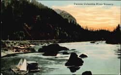 Famous Columbia River Scenery Postcard