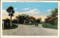 Road to St. Simons Island, Near Brunswick, GA Postcard