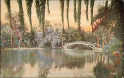 Echo Park Bridge and Palm Trees Postcard